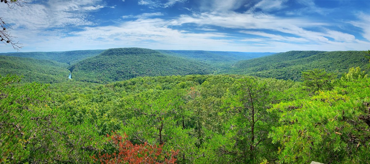 TLCOutside's tweet image. Did you watch the debate? Sorry! Need a break? Plan a day outside, give nature a voice.  My office this week. @nature_TN
