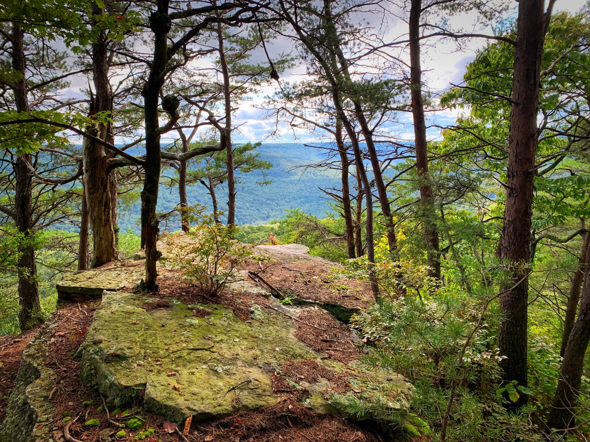 TLCOutside's tweet image. Did you watch the debate? Sorry! Need a break? Plan a day outside, give nature a voice.  My office this week. @nature_TN