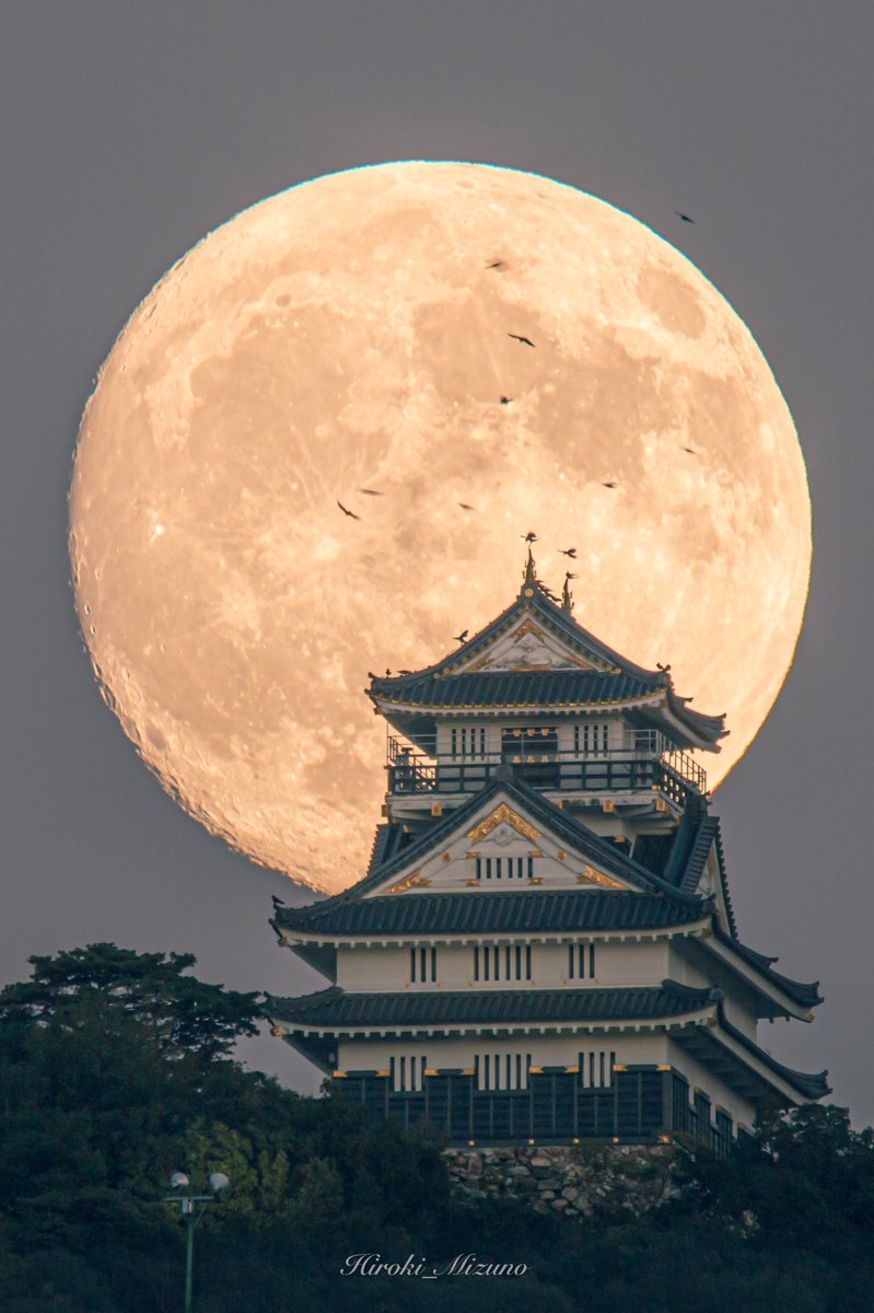 岐阜城と月