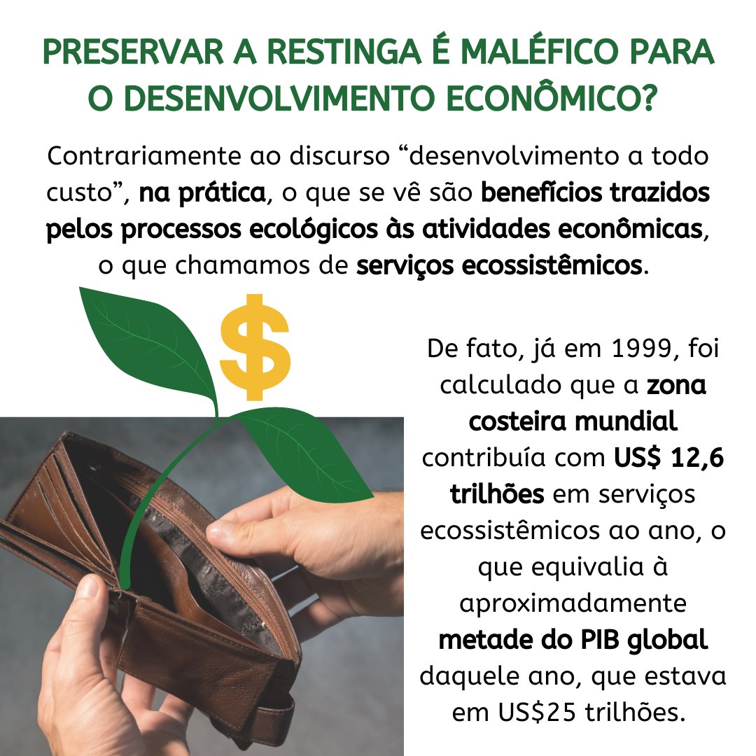 SouPraia's tweet photo. DESCONSTRUINDO O DISCURSO “ECONOMIA X PRESERVAÇÃO AMBIENTAL” | Na fala do ministro do meio-ambiente, Ricardo Salles, foi destacado que as flexibilizações impostas para a “desproteção” de áreas de restinga, tinham uma razão principal: o desenvolvimento econômico. 🤑🪓🌱 Será? https://t.co/rK6MzBujcC