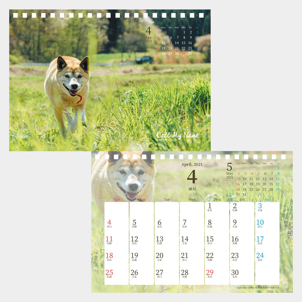 上村雄高 イヌとネコとヒトの写真館 Call My Name 原発被災地の犬猫たち 21年カレンダー たくさんのご予約ありがとうございます 本日は卓上カレンダーの4月5月を作りました 壁掛け1 12月 卓上 1 5月 の画像をネットショップにアップしました 上村雄高 イヌとネコとヒトの写真館 Call My Name 原発被災地の犬猫たち 21年カレンダー たくさんのご予約ありがとうございます 本日は卓上カレンダーの4月5月を作りました 壁掛け1 12月 卓上 1 5月 の画像をネットショップにアップしました
