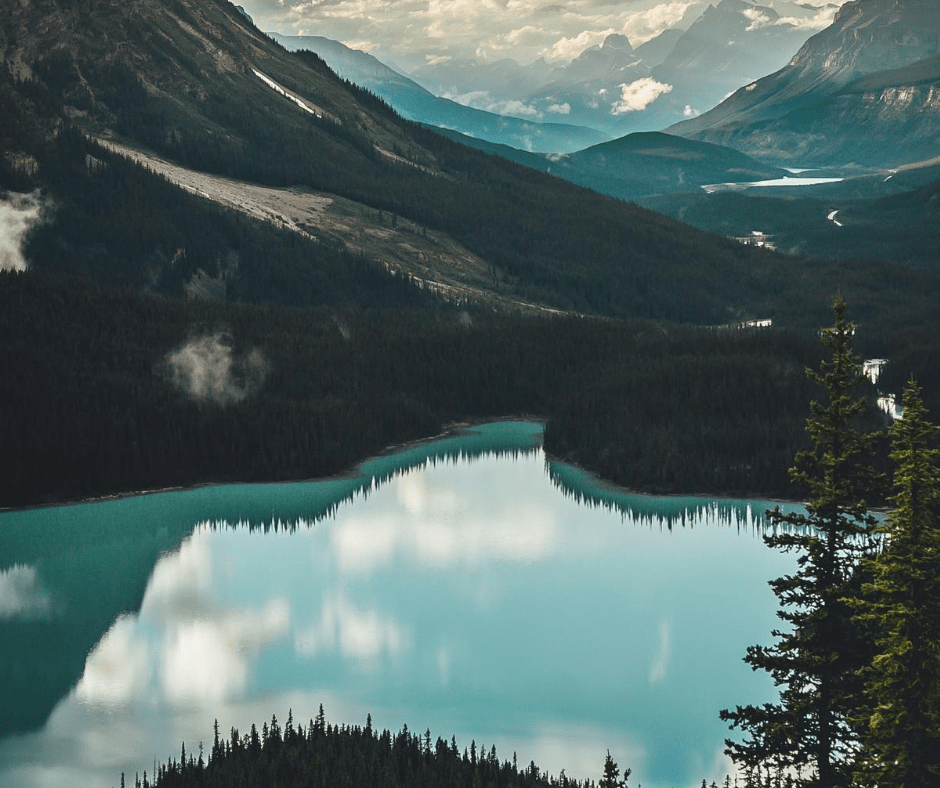 TheAlbionMall's tweet photo. Happy World Tourism Day! Do you have any plans to travel within the most beautiful country in the world this Fall? π¨π¦
*
*
#TheAlbionCentre #WTD2020 #WorldTurismDay #Canadianviews #Canadiantravel https://t.co/YoWrtcu4Za