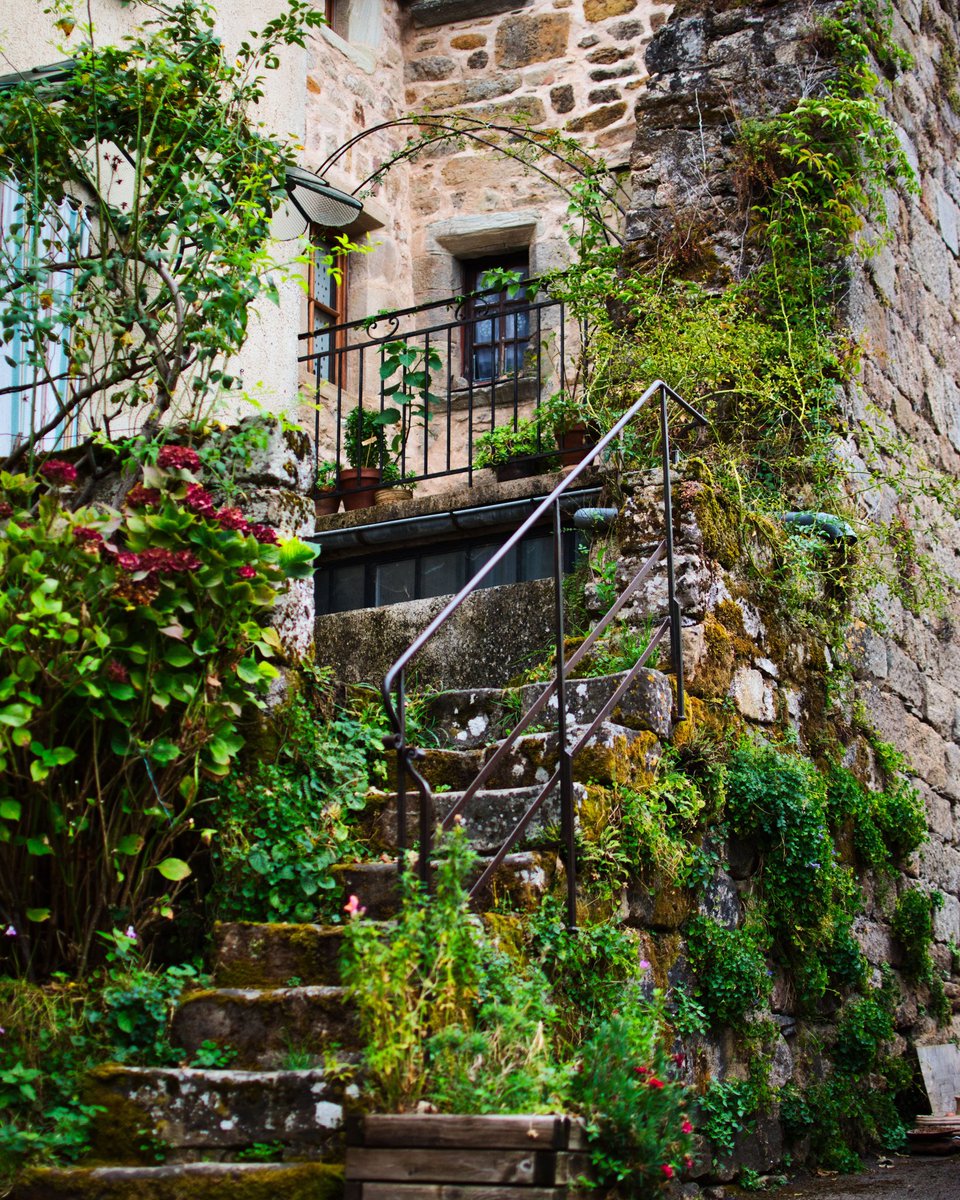 Morgan_pch's tweet image. Venez faire un tour sur mon insta, je fais quelques photos sympa parfois ! 😁
Bon, certes je débute , mais il faut quand même commencer quelques part dans la vie non ? 📸

Insta : morgan_pch 
(Ou lien en bio si t'es flemmard 👍🏻)