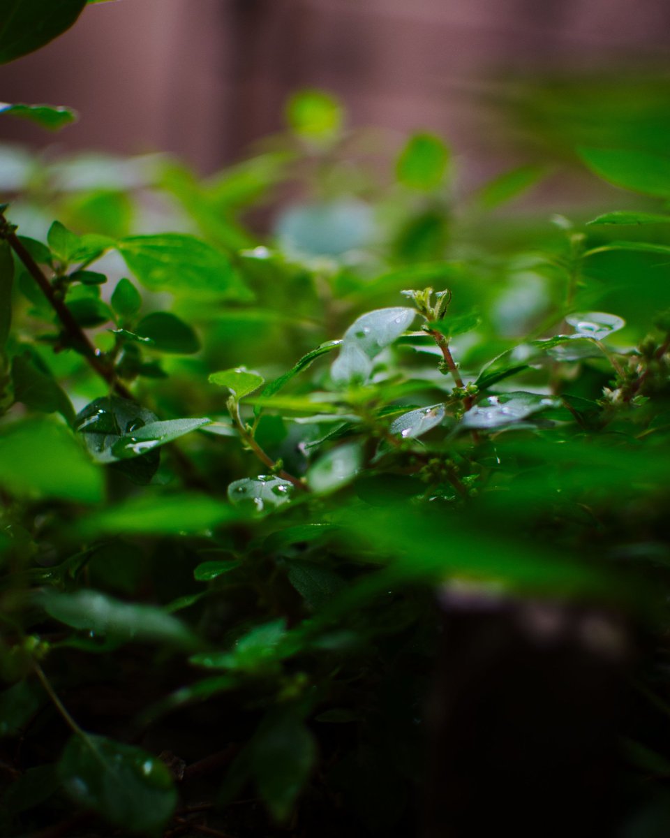 Morgan_pch's tweet image. Venez faire un tour sur mon insta, je fais quelques photos sympa parfois ! 😁
Bon, certes je débute , mais il faut quand même commencer quelques part dans la vie non ? 📸

Insta : morgan_pch 
(Ou lien en bio si t'es flemmard 👍🏻)