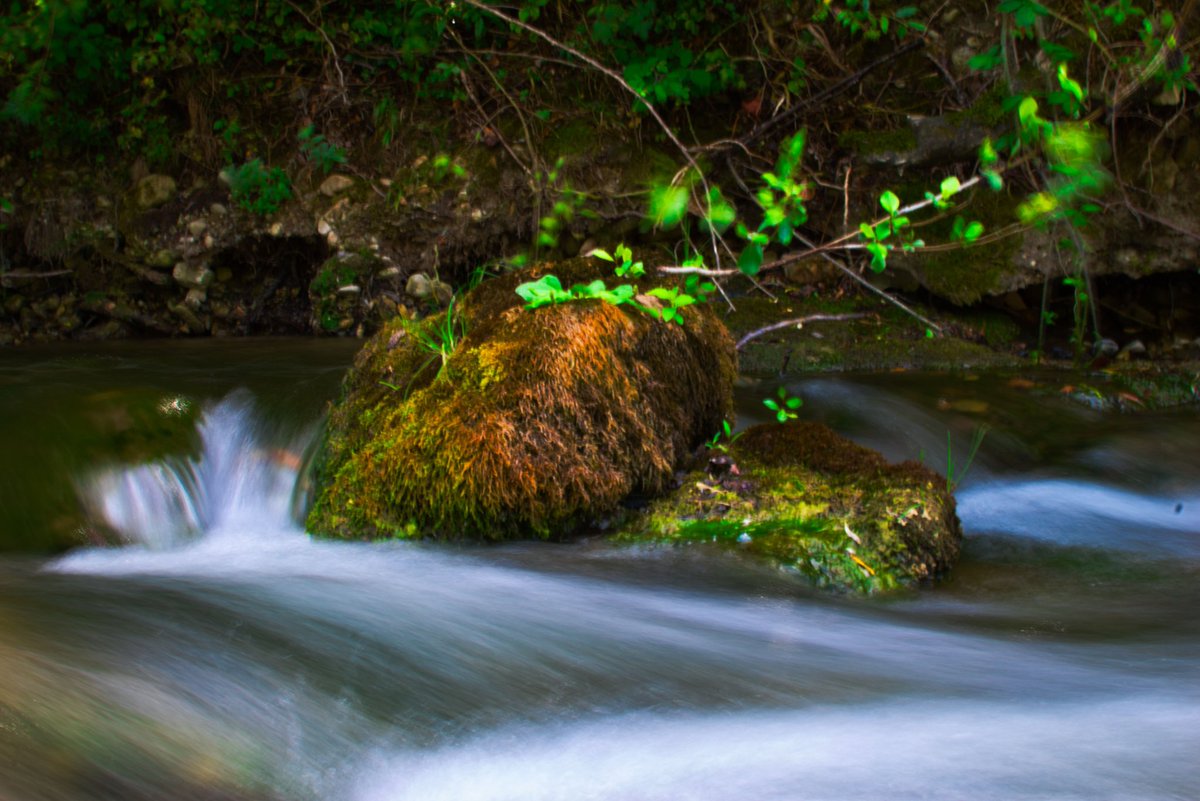 Morgan_pch's tweet image. Venez faire un tour sur mon insta, je fais quelques photos sympa parfois ! 😁
Bon, certes je débute , mais il faut quand même commencer quelques part dans la vie non ? 📸

Insta : morgan_pch 
(Ou lien en bio si t'es flemmard 👍🏻)