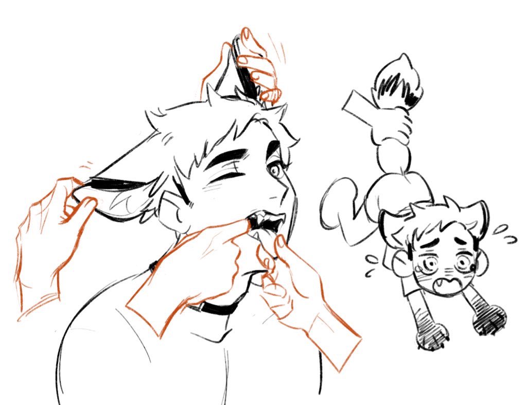 [HQ!!] you've heard of fox ears atsumu now get ready for weasel ears sakusa 