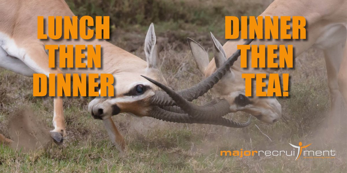 Major Recruitment tweet media