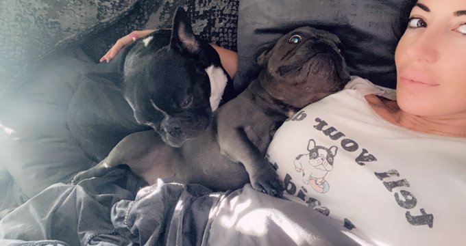 My mornings ❤️ 2 frenchies cuddled up next to me #LifeIsGood 🐶 https://t.co/HlyIzrX2Qq