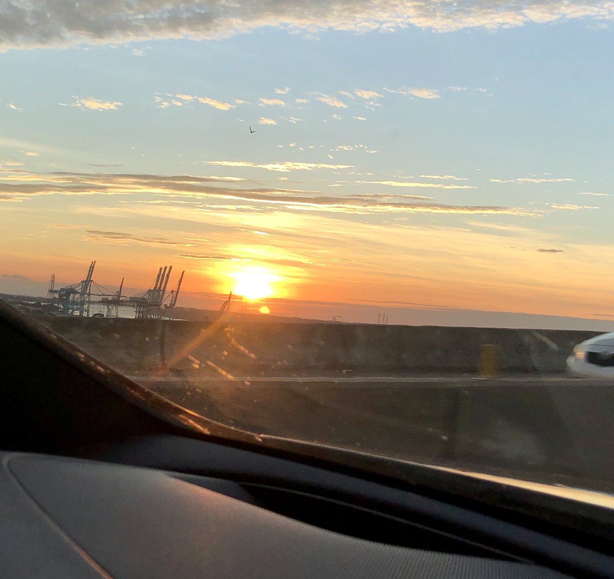 NoLimitsCharter's tweet photo. Just a Wednesday sunrise over the St Johns River...🌊🌞🦿 #sunrise #stjohnsriver #firstcoast #livelifewithnolimits #jaxport #damespointbridge #wherethewatersreach #seewhatsoutthere https://t.co/ccCHKn4GHs
