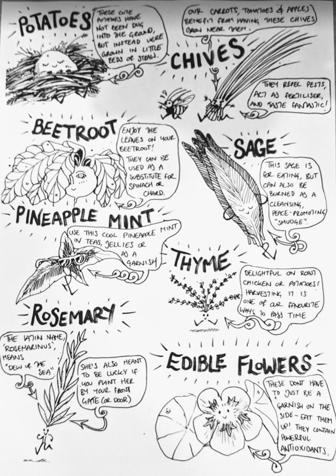Haslemere Food Bank tweet media