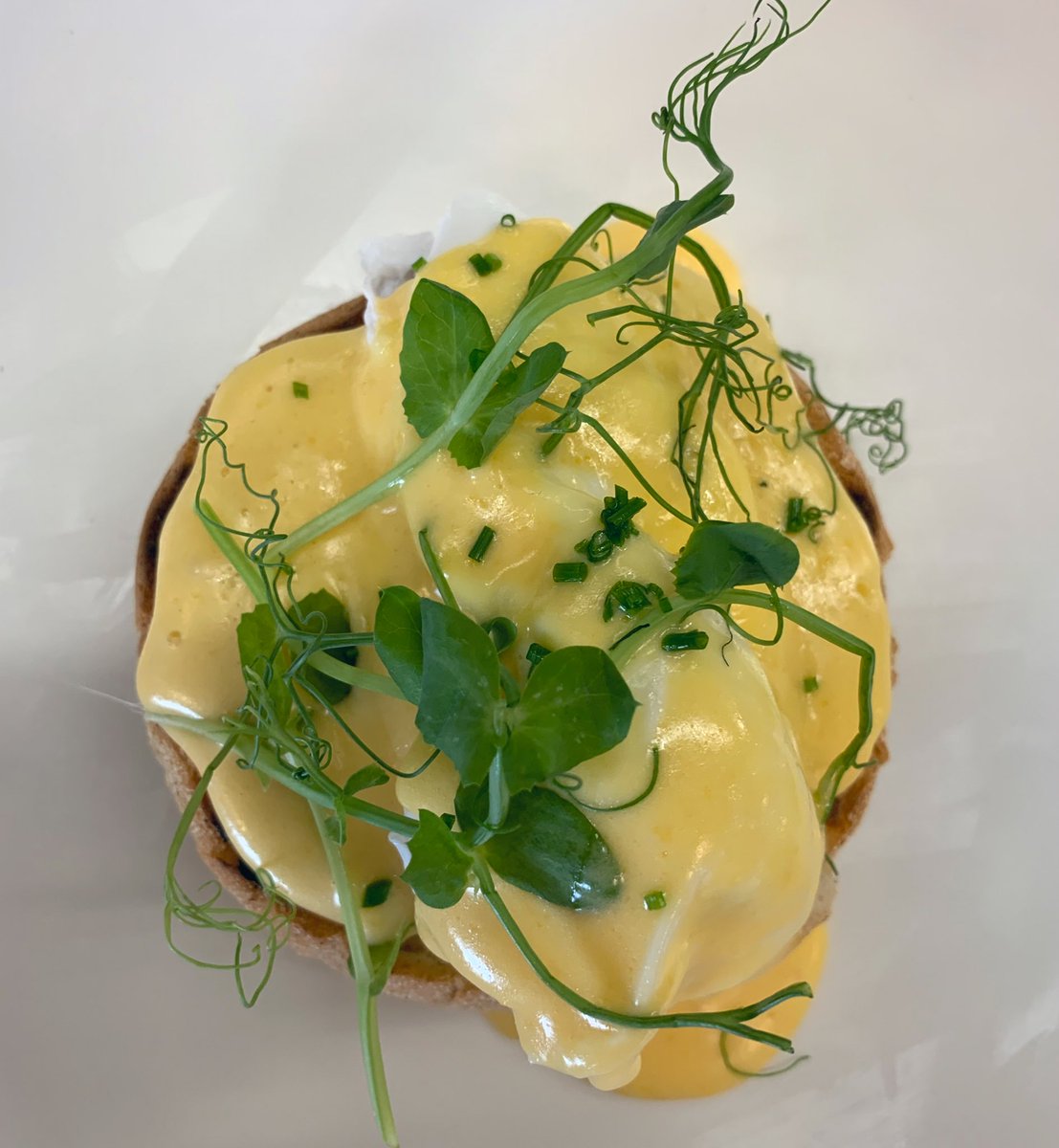 ChefGOliver's tweet photo. Level 3 professional chefs class learning the basic skills of poaching to make eggs Benedict along with silky hollandaise sauce #chefs #thefuture #lushfood #skills https://t.co/U5OrNyJwQF