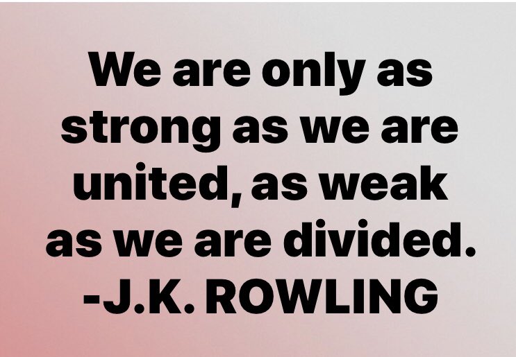 MakeAmericaUnit's tweet image. We are only as strong as we are united, as weak as we are divided.
-J.K. ROWLING