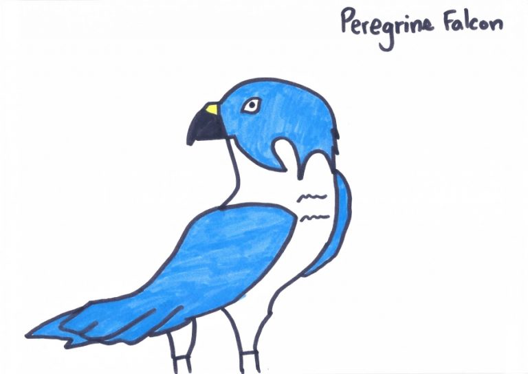 jacob_archive's tweet image. 200930 CanCam

💌 bit.ly/349f2dS

#더보이즈 #ドボイズ #THEBOYZ #제이콥 #ジェイコブ #JACOB