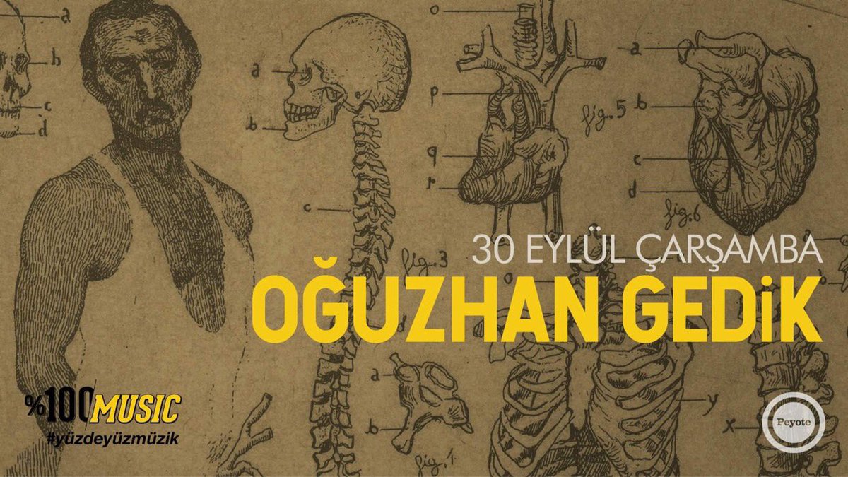 Bahçe Kabin: 21:00 - Oğuzhan Gedik