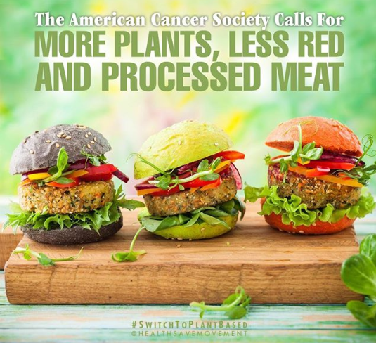 The American Cancer Society’s Diet & Physical Activity Guideline, published, calls for increasing plant-based foods & excluding or limiting red and processed meat to reduce cancer risk

#switchtoplantbased #cancer  #healwithfood 

For guidance check out  - veg22.co/SaveMov