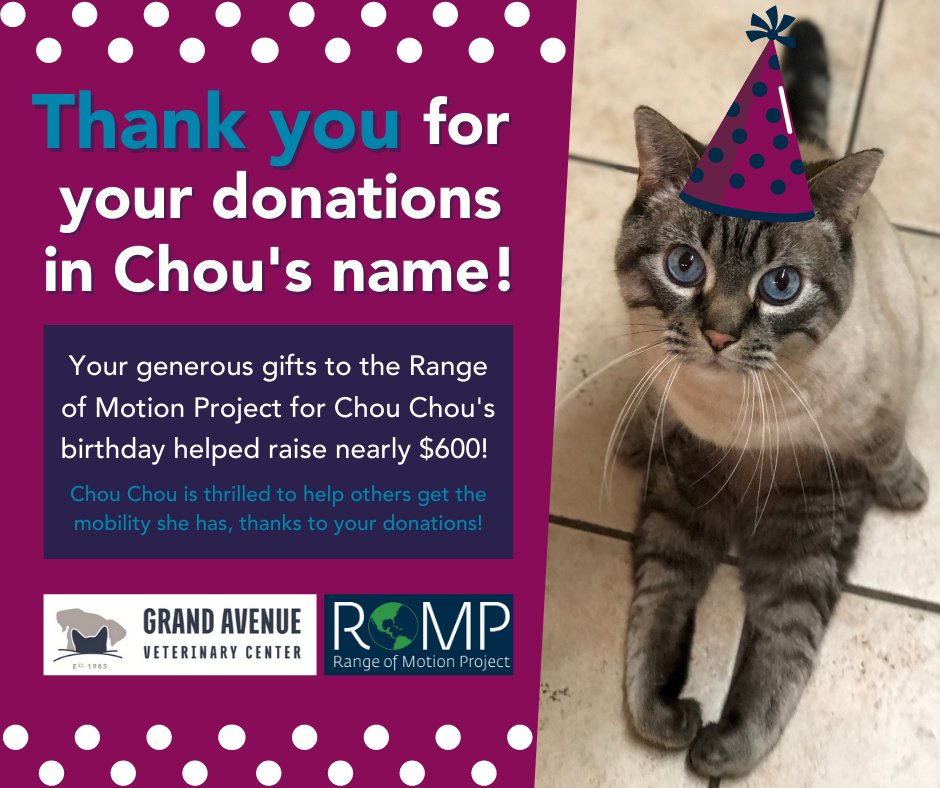Thank you to all who helped Chou celebrate her 11th birthday by donating to @ROMPglobal! With your kindness, she raised almost $600, which will go towards helping amputees enjoy the freedom and mobility she has! 😽

#grandavevet #community #rangeofmotionproject