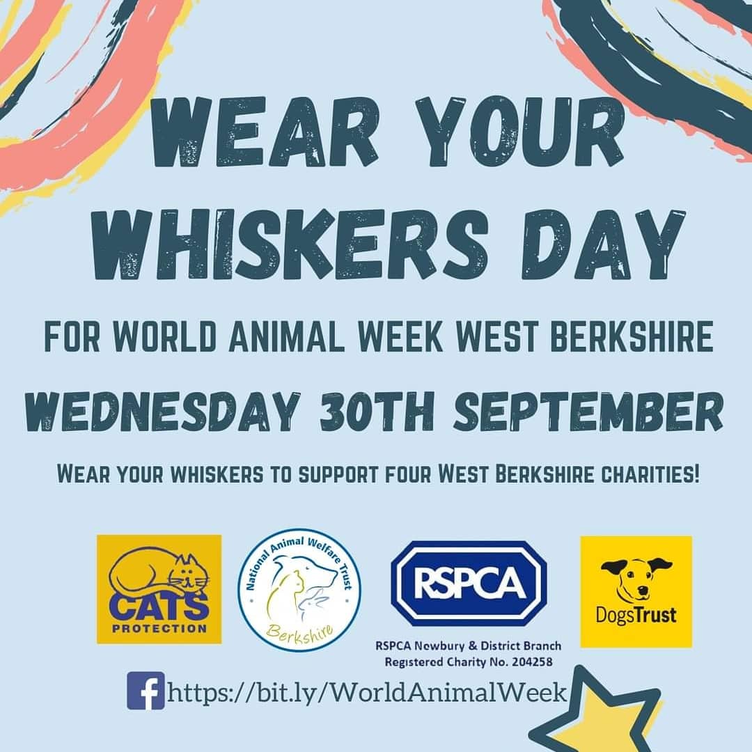 DT_Newbury's tweet photo. We’re all wearing our whiskers for World Animal week West Berkshire! 🌍🐾❤️
Why not get involved - we’d love to see your pics over at https://t.co/Wh1NxUsr5s
#worldanimalweek #wearyourwhiskersday #masks #whiskers #dogstrust #newbury #westberkshire #hamsteadmarshall https://t.co/jA3IpQG4JF