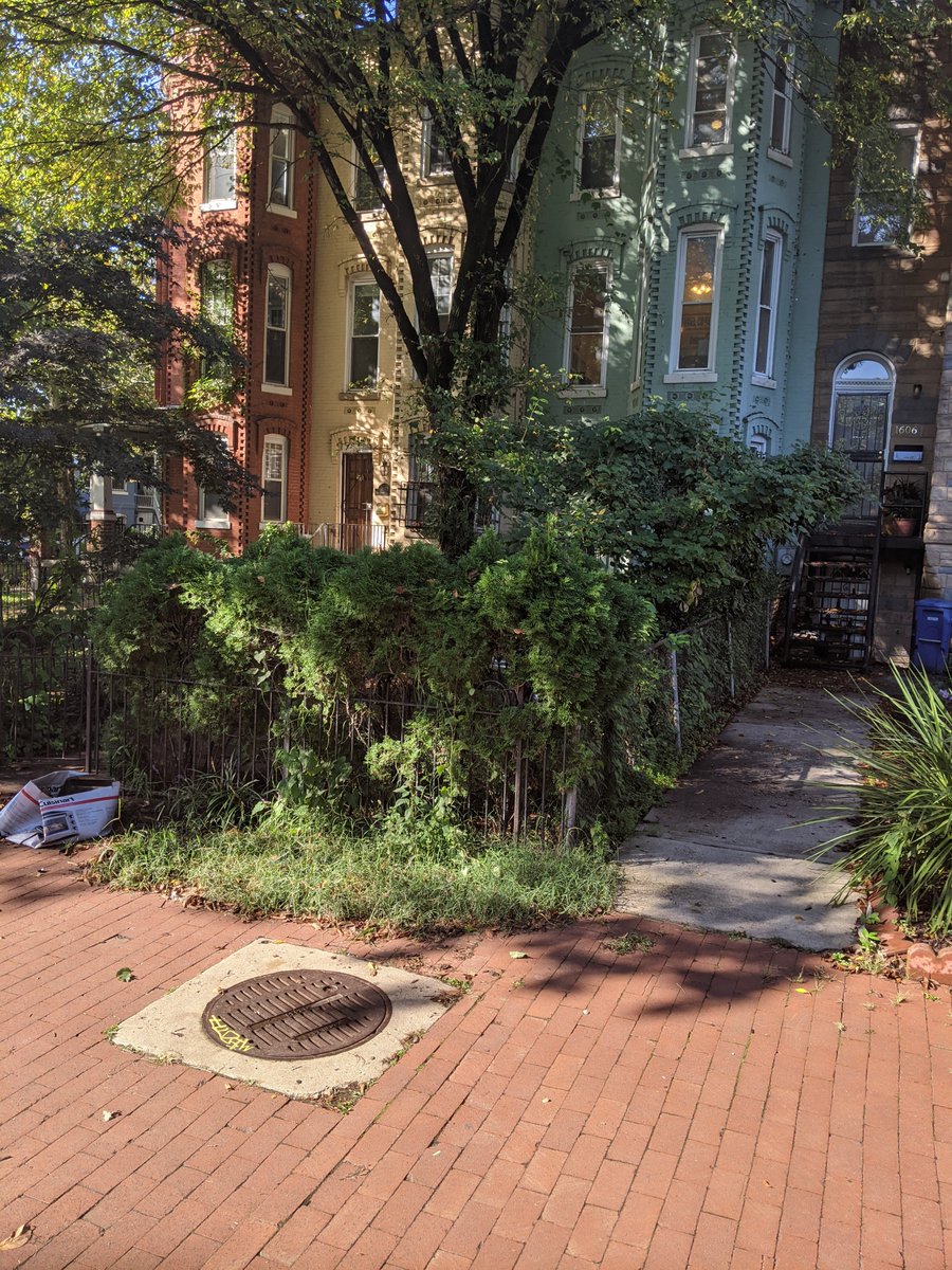 Jason Nuzzo tweet media