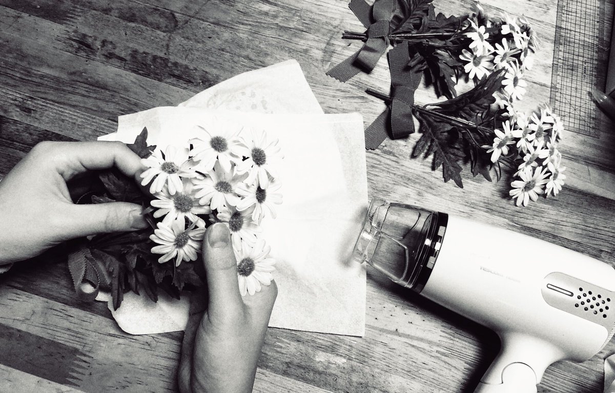 花物語 Project By Only Child Monogatari Hana Twitter