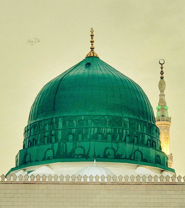 Adnan Haider (عدنان حیدر) अदनान हैदर tweet media