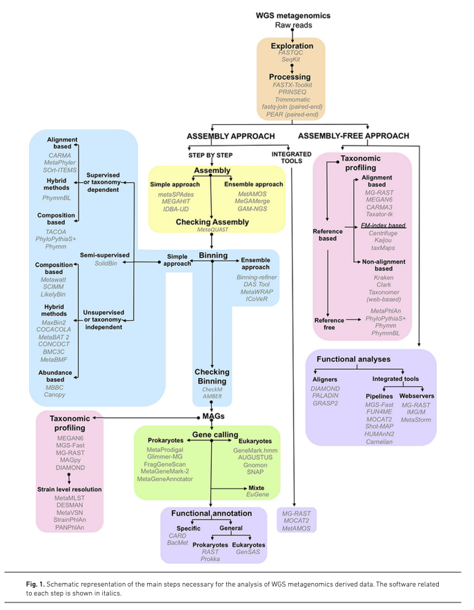 Review: Metagenomic approaches in microbial ecology... covers marker gene and whole genome analysis microbiologyresearch.org/content/journa…