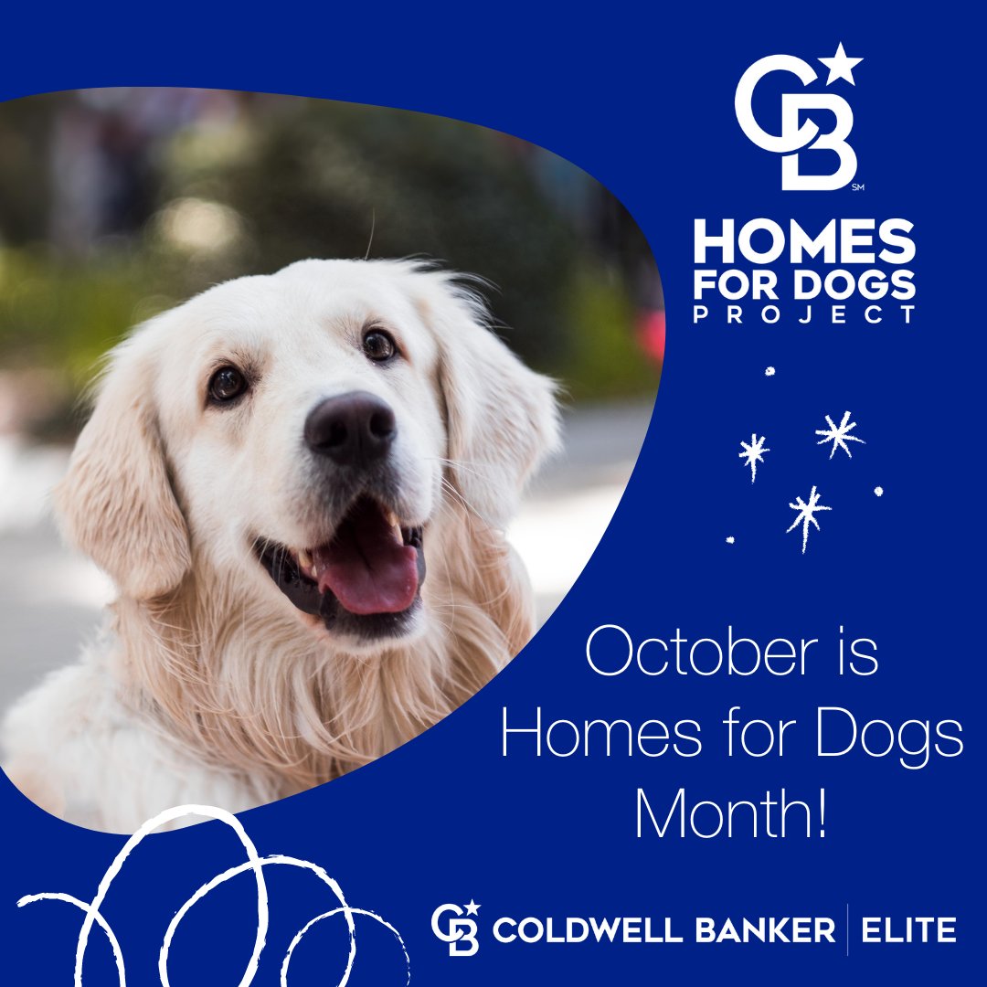 CBElite's tweet photo. That's right, this year's #HomesforDogs Project will be ALL VIRTUAL and ALL MONTH LONG! 🐶💻🐕  We’re going to be posting pictures and info of adoptable dogs from local shelters to give adopters that “virtual meet &amp; greet” experience!🐕💙  Stay tuned for all the puppy love! https://t.co/rHKVeMfJZB