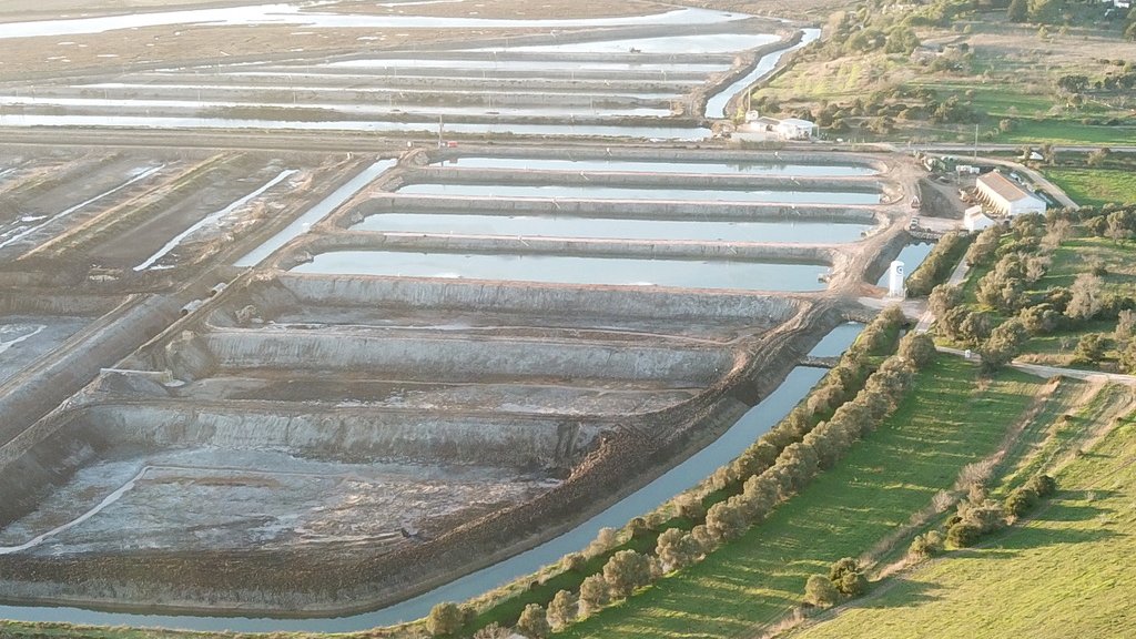 BlueCrow Capital tweet media