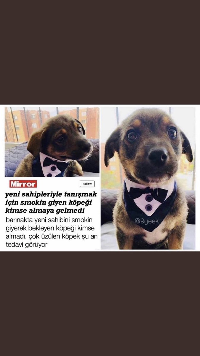 dlmc_emine's tweet photo. Çok üzgünüm 😔 https://t.co/G2ojBbFgZx