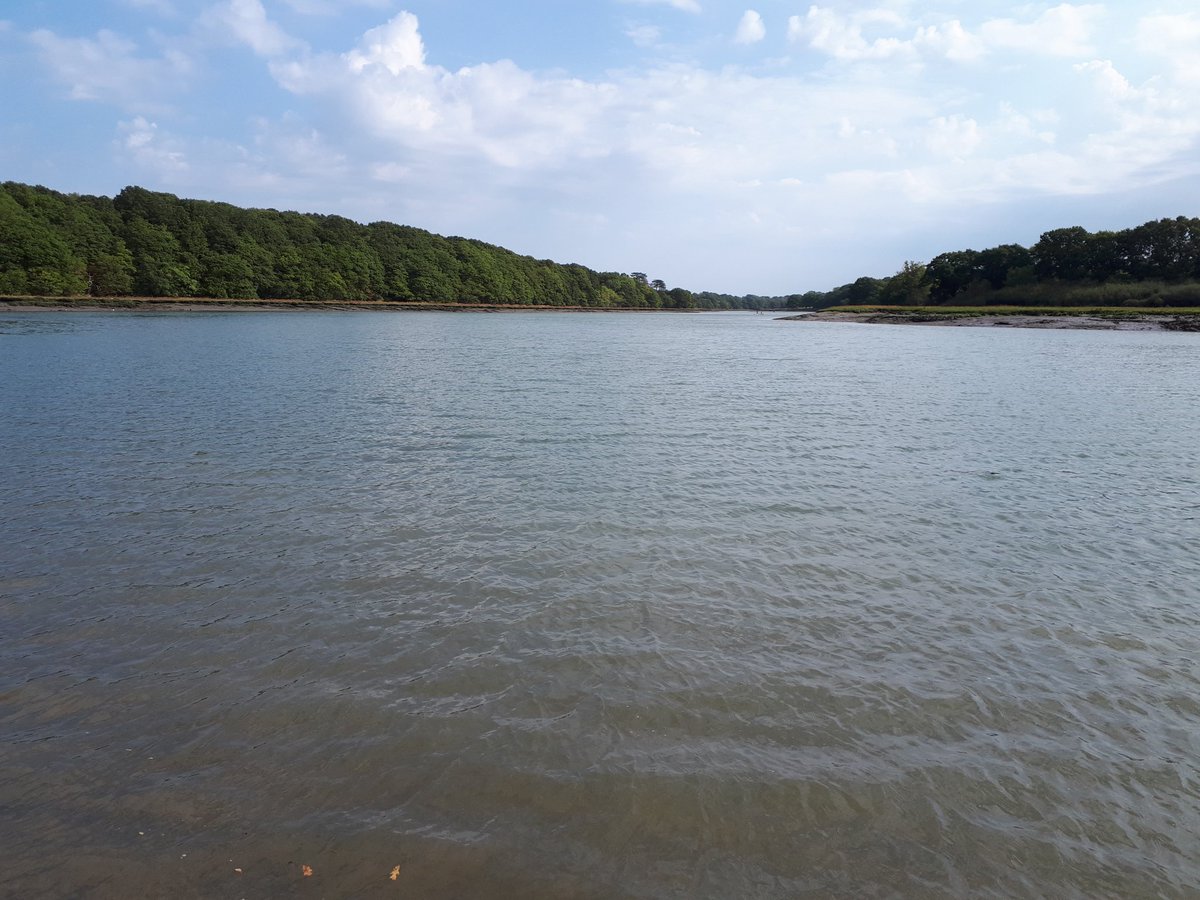 I’m asking those who love the outdoors to post a picture. A picture that you took. Just a pic. no description. The goal is to regain peace and harmony without negativity. Please copy the text🙏