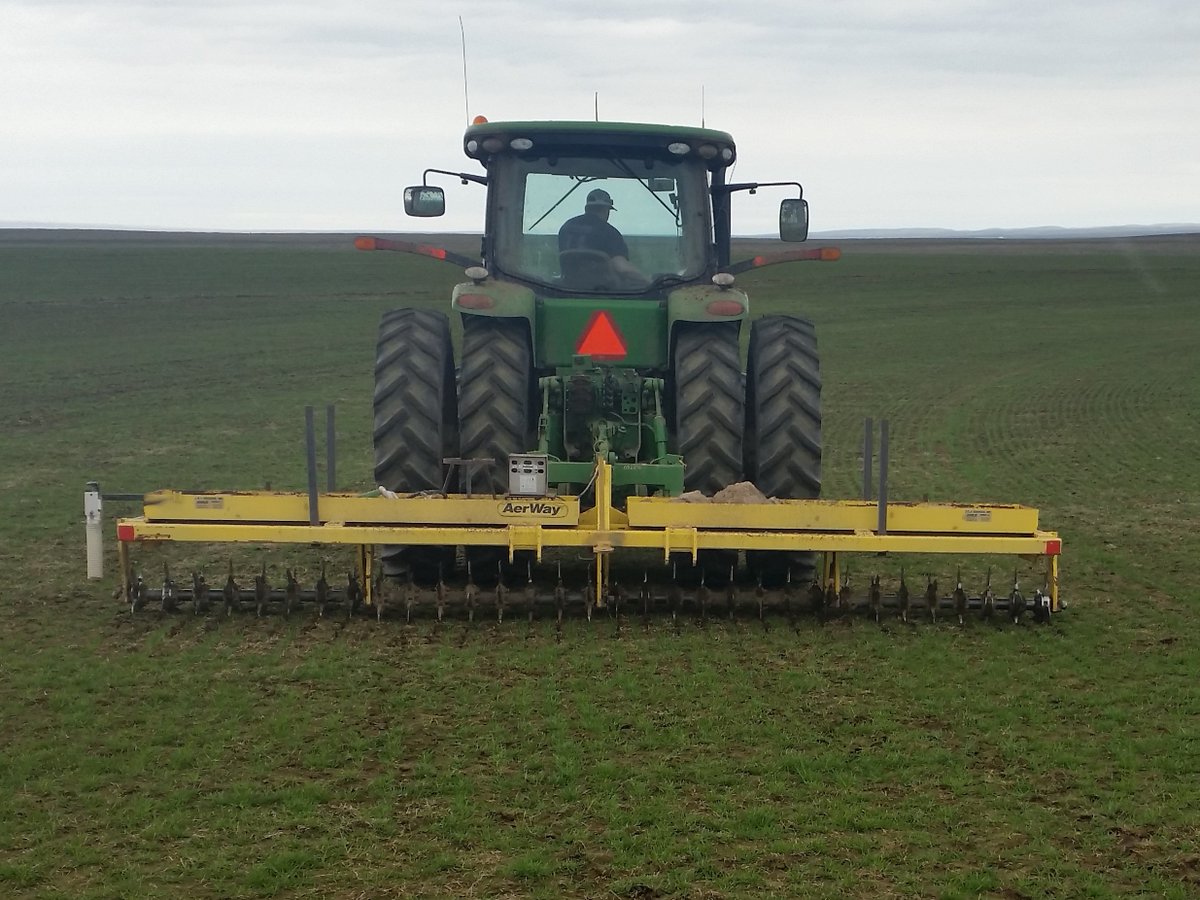 MerchantsTurf's tweet photo. With 2020 crop harvested, seed cleaners are working hard to get TMI products out to our great customers. It is hard to believe we are already hard at work finalizing plans for 2021 crop. #Seed #TWCA #grass #bluegrass #ryegrass #TTTF #agriculture #lawncare https://t.co/fs3yadVReZ