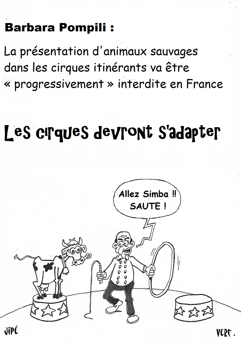 JphVerf's tweet photo. #CirquesSansAnimaux sauvages ... 🦁🦁
voici les #cirques POMPILI  @barbarapompili https://t.co/X3JBBtJr10