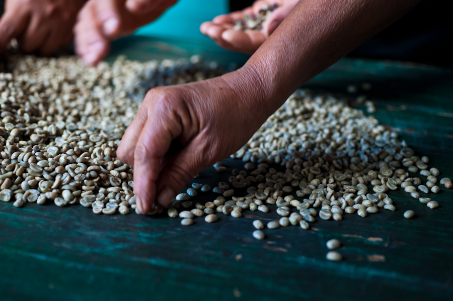 1.  #Coffee Business: We commercialize coffee from our five partner co-ops, providing improved market access for farmers while delivering a high-quality product to roasters and consumers. We offer better and more stable prices to the farmers.