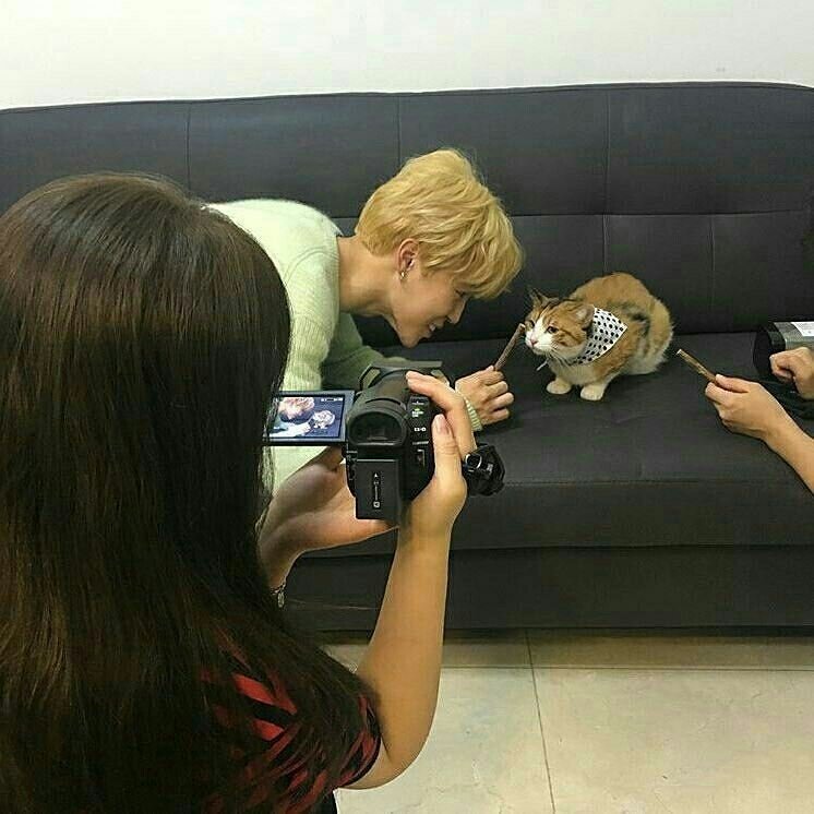 Curry's owner posted about this on IG, and also added that they realized that Jimin is a kind soul and thought it was amazing that Curry got to shoot Serendipity with him even though she was born from a stray, has only one toe on her rear paws, and almost died after birth. 
