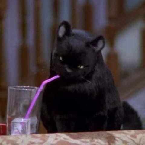 ttttthita✨ tweet media