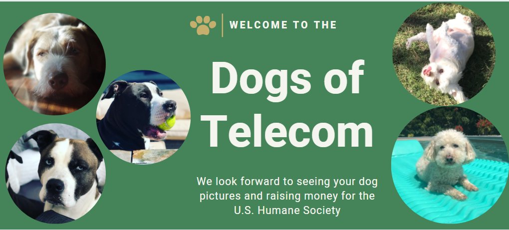 Calling all channel dogs! Visit dogsoftelecom.com for more information on how to submit your pup's picture for a chance to be featured in the 2021 Dogs of Telecom calendar. 

#dogsoftelecom #channelpartners #channeldogs #coworkers <a href="/KatFlick5/">Kathy Flick</a> <a href="/MichaelBBrennan/">Michael Brennan</a>