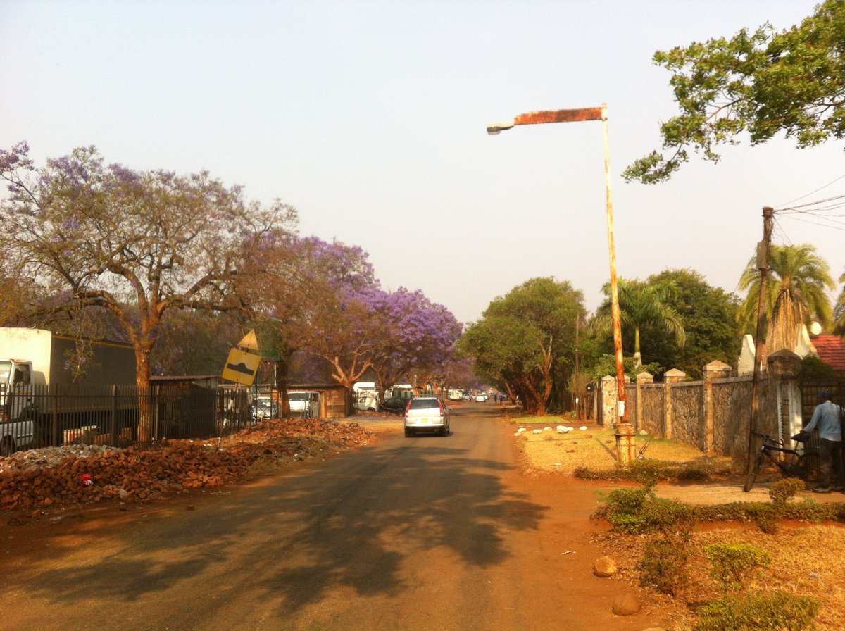 tichavacho1's tweet photo. Day 3 with Grade 7s- children with disabilities escorted to school by family members everyday. 
Only  5 out of 18 of them made it. One of them who stays about 35 kilometres away- using public transport- had their vehicle impounded at a roadblock while going to school.  #GTP2020 https://t.co/T4HMJnoC6f