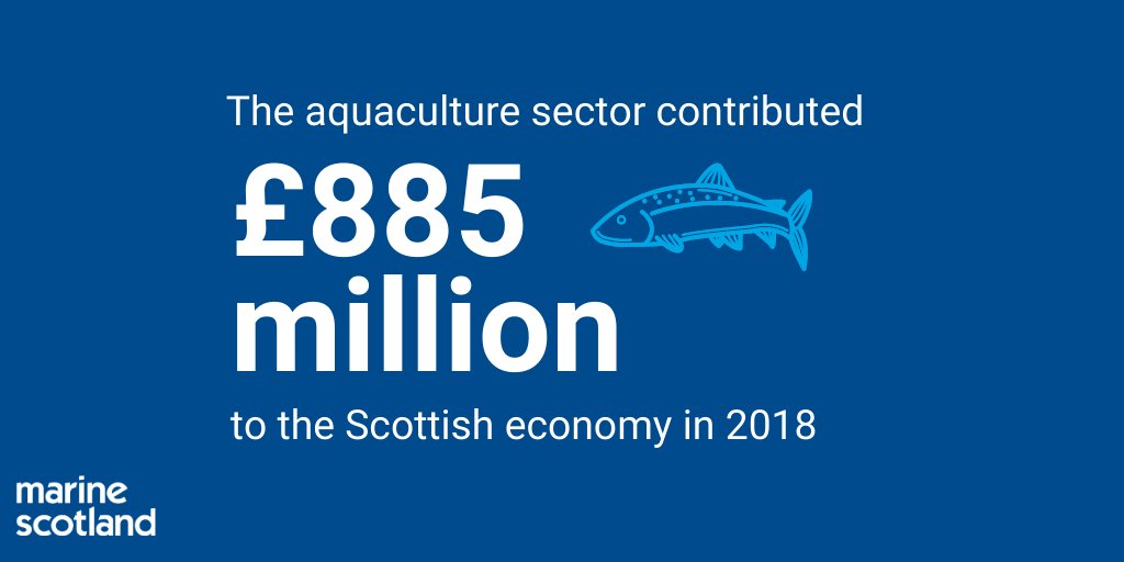 In case you missed it – we’ve published a new report which sets out the wider economic impacts of aquaculture on the Scottish economy.

The report found that the sector supported 11,700 jobs in 2018 ➡️bit.ly/3mYpjSK