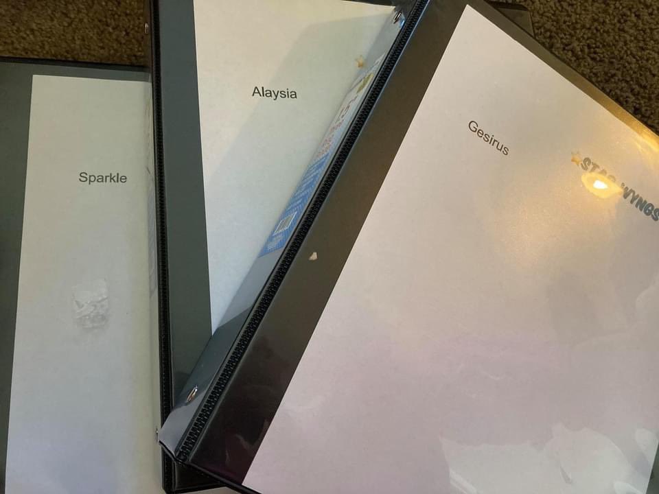 Launching Soon: Starwyngs!

Starwyngs will be the 2nd local worker owned cooperative in Richmond CA,  serving Soul Food &amp; Vegan Sides! 

<a href="/CooperationRich/">Cooperation Richmond</a> has been helping Starwyngs coop members get ready for their launch by making things like these employee handbooks.