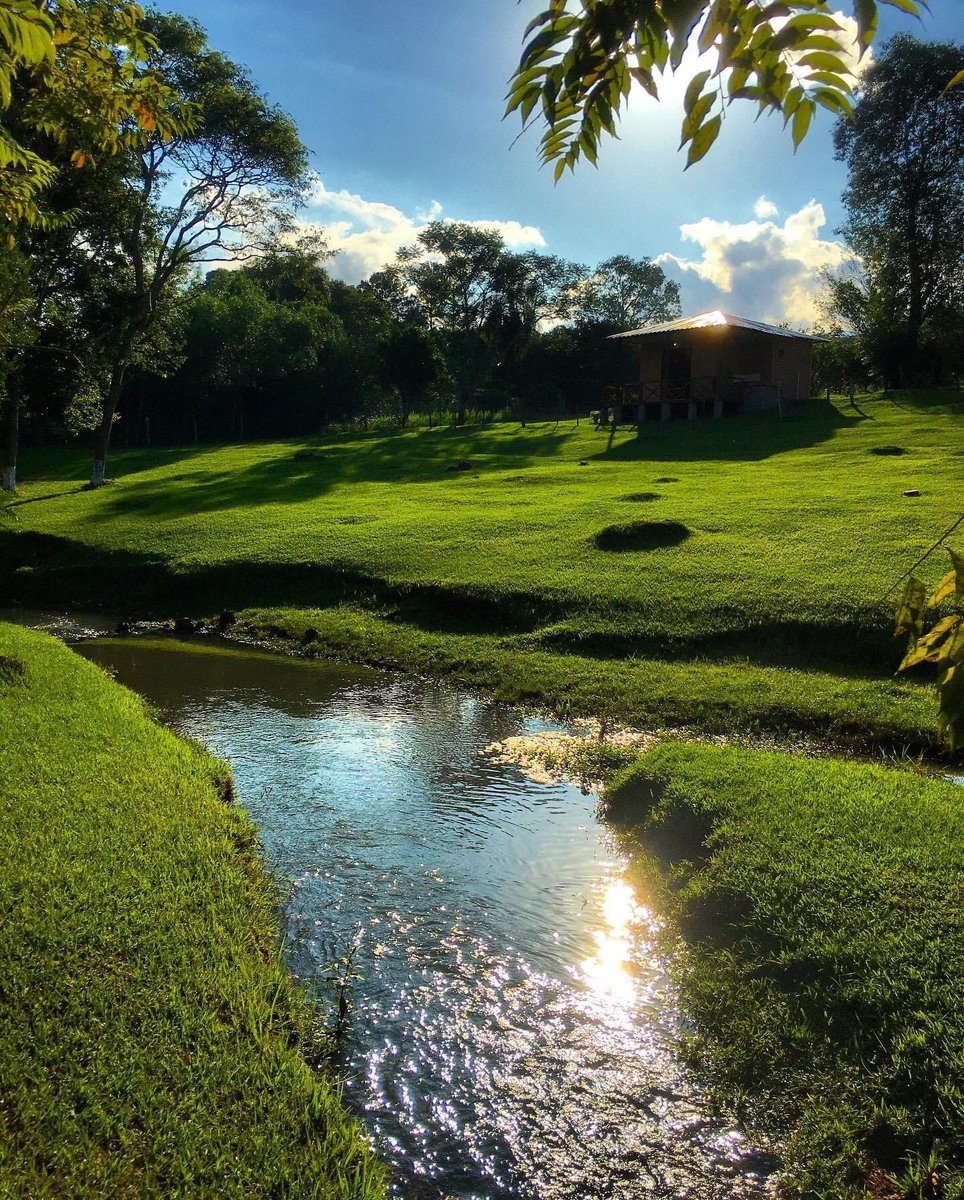 hijadelbosque's tweet photo. Cabaña Don Pintos 🏡
Puerto Península, Alto Paraná, 🇵🇾
50.000 gs por persona por noche 👌🏻
Para más info al: +595 984 795466 https://t.co/KpXLOpJ2cp