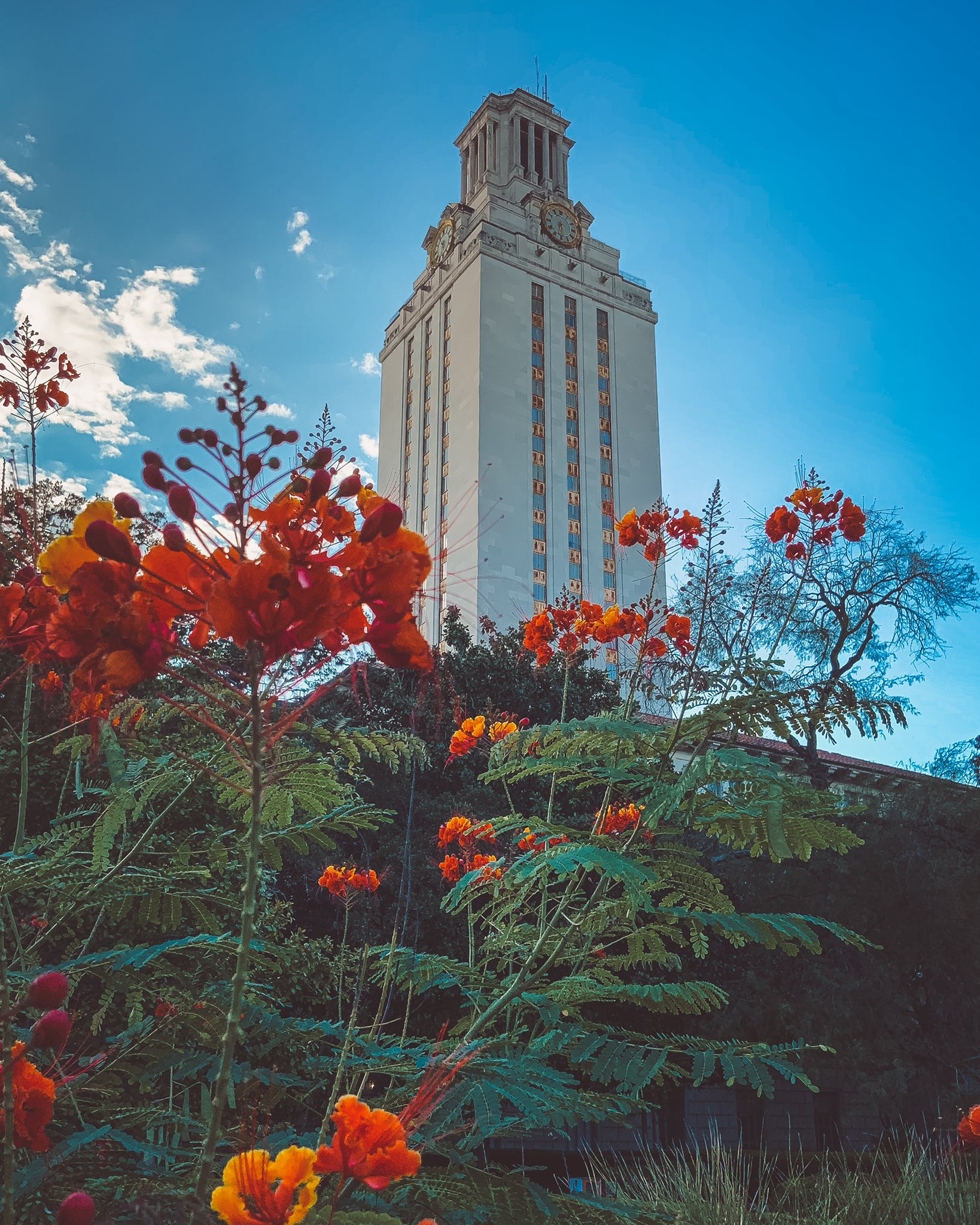 EjLEAbiX0AE_3D1?format=jpg&name=large