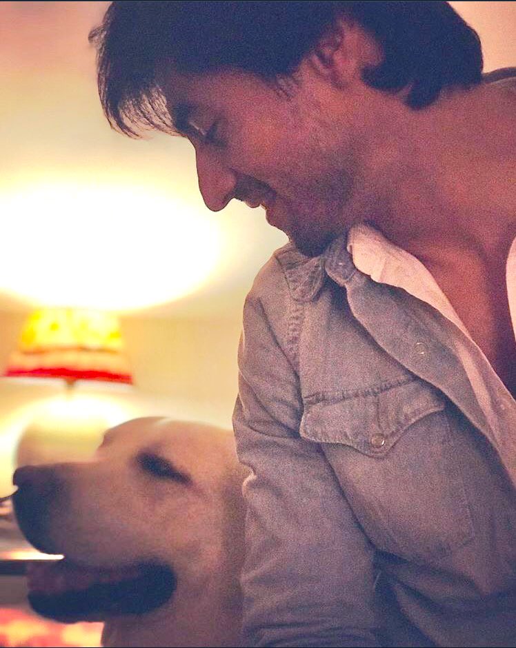 JenshadC's tweet photo. Happy Birthday Breezer!!🐾🥂

love the three of you❤️❤️❤️
@jenwinget @ChopdaHarshad 
#JenniferWinget #Breezer #HarshadChopda https://t.co/sgSzVFtKKP