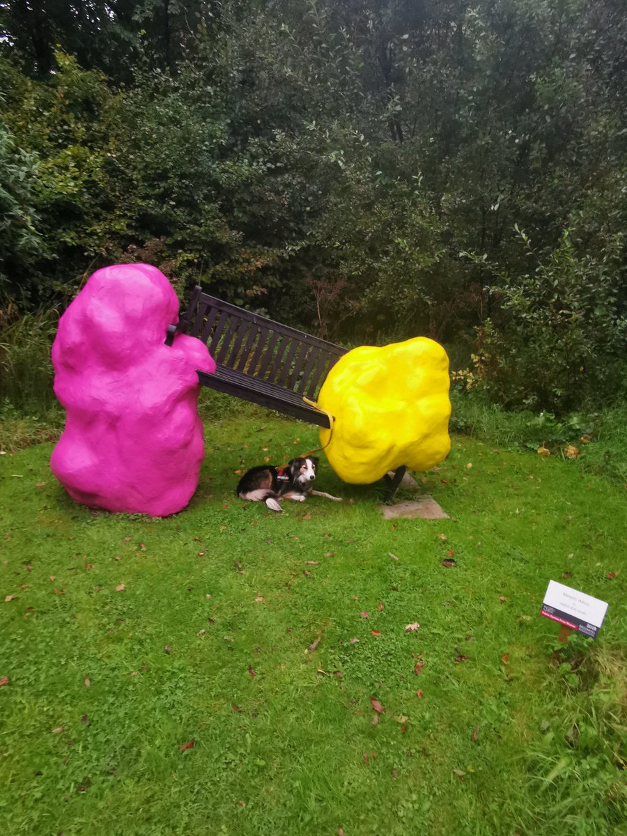 CandyBench's tweet image. This is not the sort of bench I am used to. Not the proper hiding potential we like @broomhillart but daddy said the brownies were really hood, though as chocolate, I didn't get any.