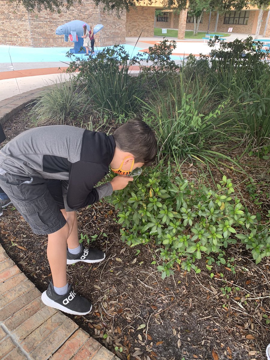 philbennett1973's tweet image. @HCSBSES @SES_Admin Mrs. Johnson took her class on a nature walk for PBIS day! Loved seeing how excited the Ss were about this activity #scienceisfun #manateesmakeithappen #studentengagement