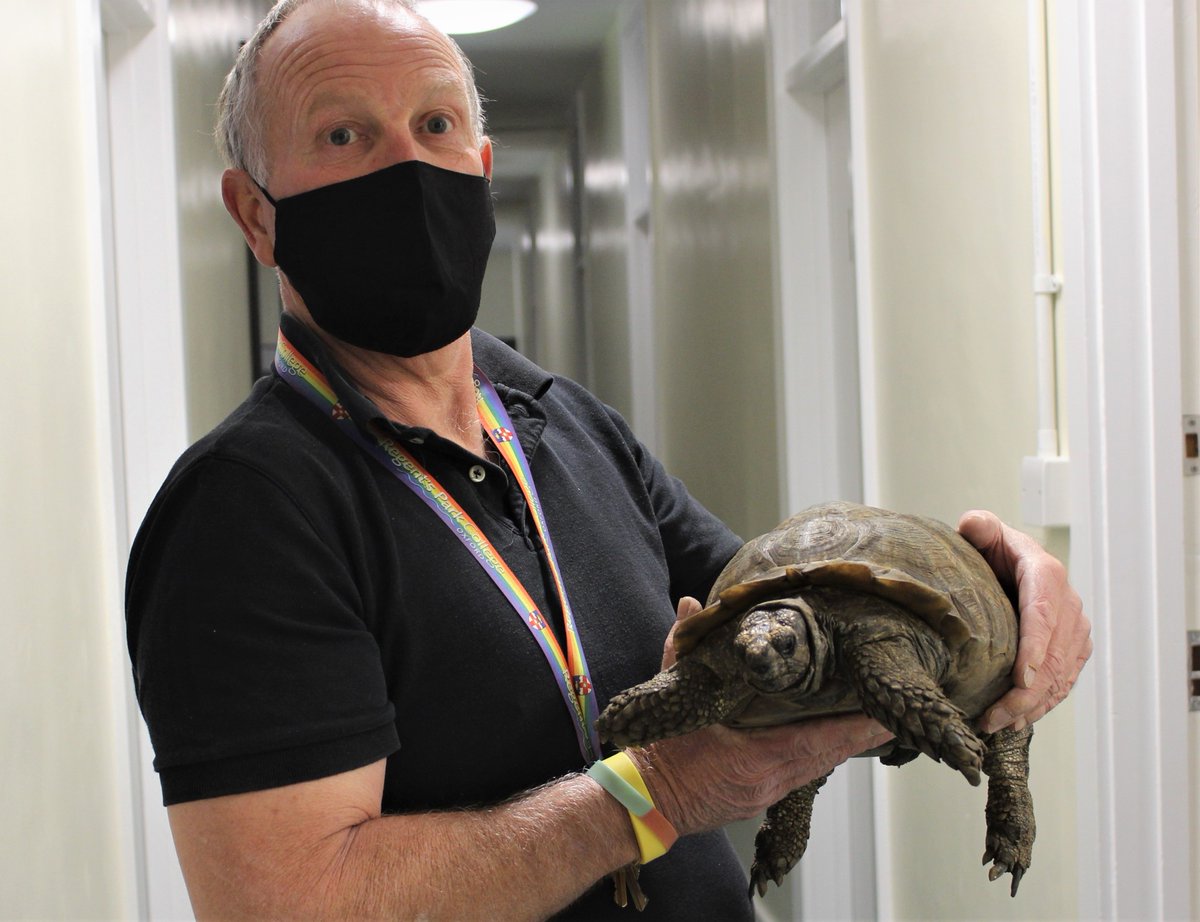 College #tortoise Emmanuelle has decided the time has come for some beauty sleep (not that she needs it). Our excellent Maintenance Officer, Bob, gave her a lift and personally escorted her into #hibernation. Sweet dreams, and see you in the Spring, Emmanuelle! 🐢