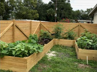 PCTYCareers's tweet photo. Showing off our green thumbs here at @Paylocity with our backyard gardens and how we utilize #PCTYSustainability tips and tricks at home to make our Earth better.  ❤️ 🧡 🌍🌱  #InsidePaylocity #PCTYVirtualGarden #PCTY #ForwardTogether https://t.co/TKiayAhUP5