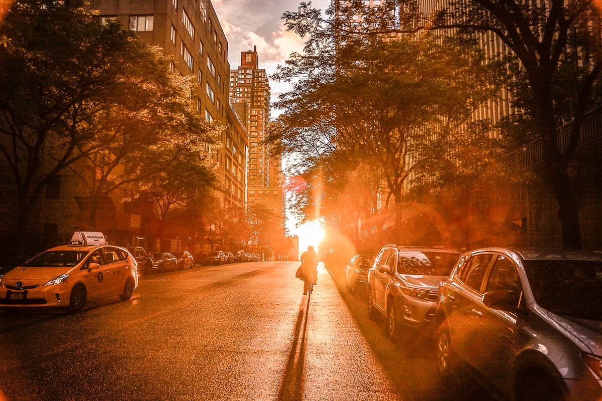 Did you know that green roofs help mitigate the urban heat island effect? Extreme heat is a public heat issue that policy makers and planners need to address. Green roofs and other forms of green infrastructure are multi-solution tools! #CitiesAlive ow.ly/8S3u50BFlYO