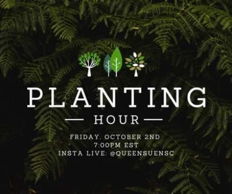 Queen's ENSC DSC🌿 tweet media