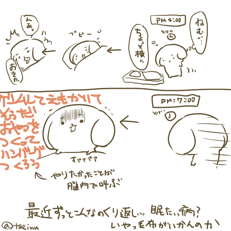 だいたい毛布のせい 