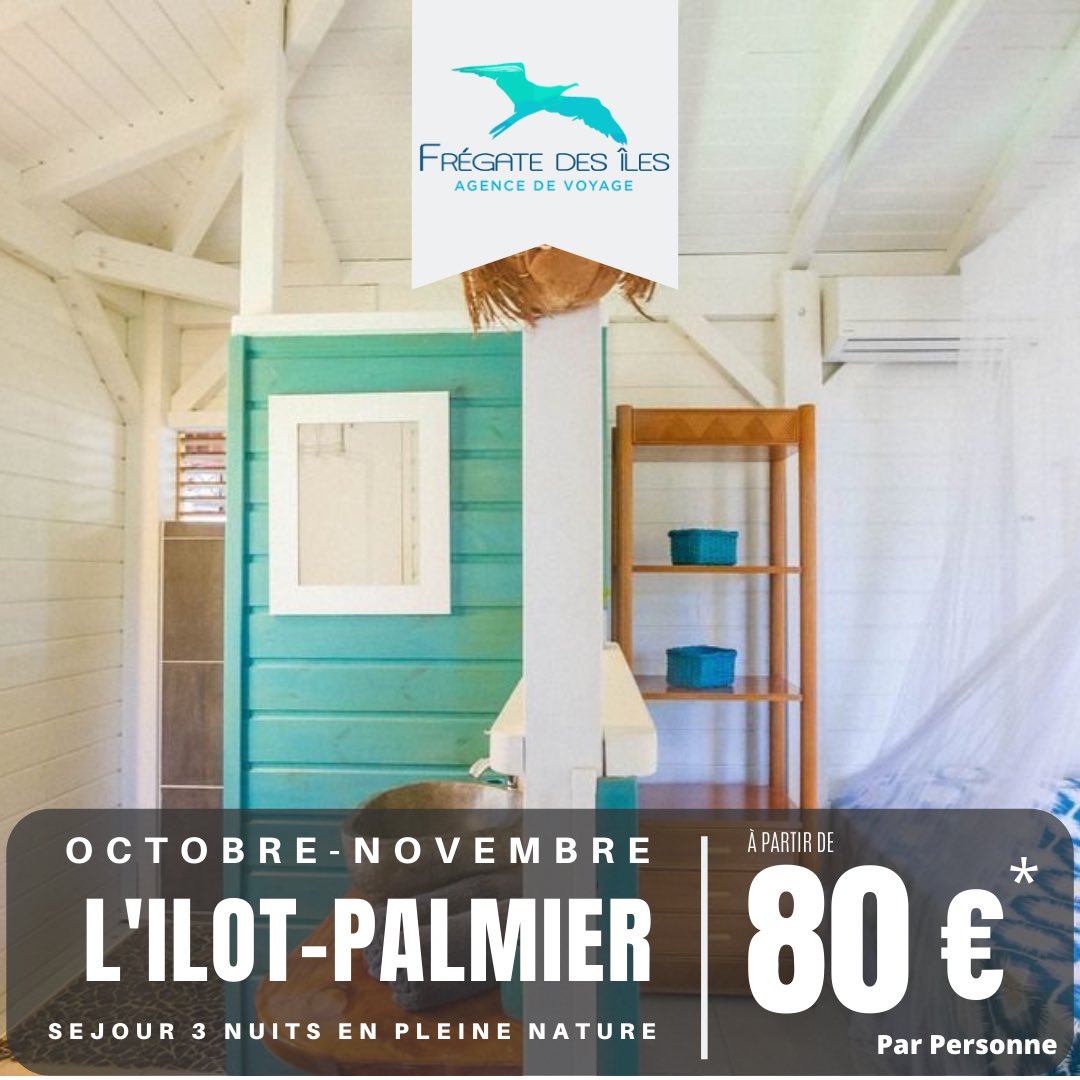 Fregate des îles tweet media