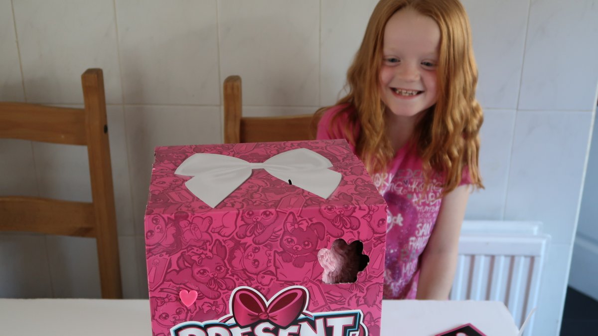 susankmann's tweet photo. We have a pink wrapped box and already our little #PresentPet is starting to unbox. It is so exciting! @spinmasteruk #gifted https://t.co/EYSdd0SBY9
